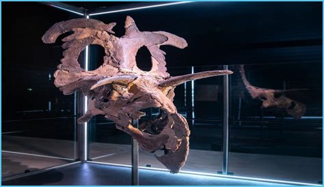 Unveiling Paul Sidoti's Net Worth: Discoveries And Insights