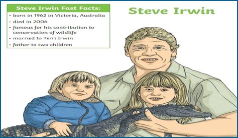 Why Was Steve Irwin Criticized? Unpacking Public Perceptions